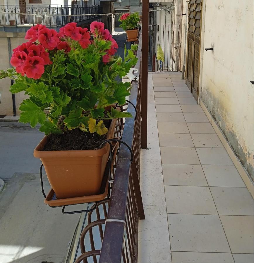 B&B La Casa Dell'Ospite Gravina in Puglia Eksteriør bilde